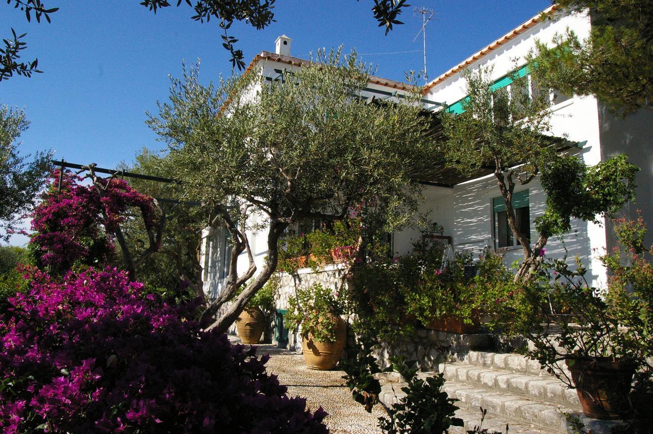 Il Rifugio B&B Capri Anacapri  Exterior photo