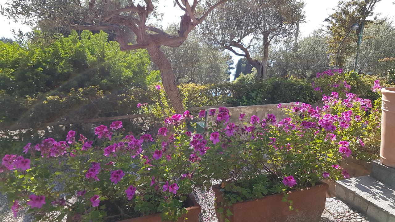 Il Rifugio B&B Capri Anacapri  Exterior photo